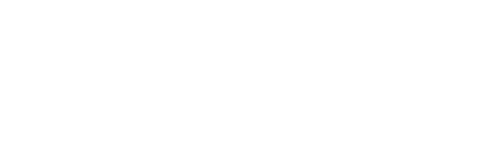 Summit Dynamic